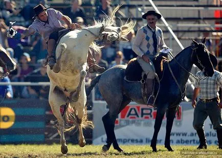 concursuri Cowboys în America de Sud, fotoshtab - revista on-line cu fotografii