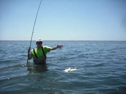 Spinning vadászat bluefish