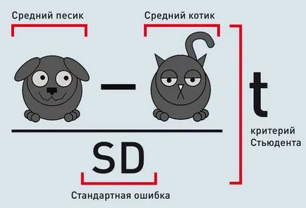 Статистика и уплътнения като топъл котки са станали част от научните книги