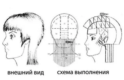 Машинки за подстригване техника и стайлинг опции 