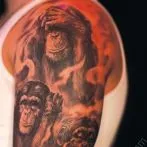 маймуни татуировки