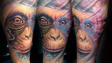 Monkey Tattoo - valoare, schițe originale și fotografii