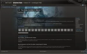 Az Elder Scrolls 5 Skyrim - telepíteni a játékot és az esetleges problémák