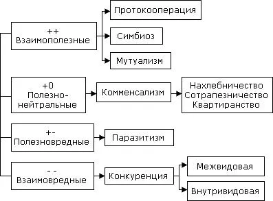 Видове екологични взаимоотношения