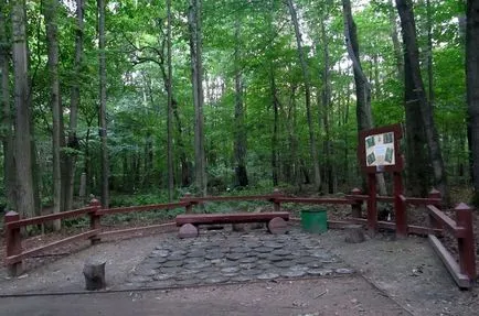 Timiryazevskiy fotók Park címet, hogyan lehet eljutni