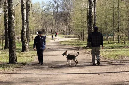 Timiryazevskiy park - egy zöld sziget a közepén egy megacity