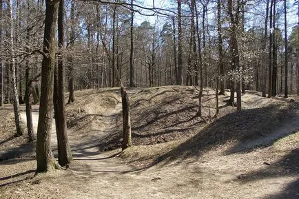 Timiryazevskiy park - egy zöld sziget a közepén egy megacity