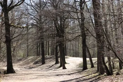 Timiryazevskiy park - egy zöld sziget a közepén egy megacity