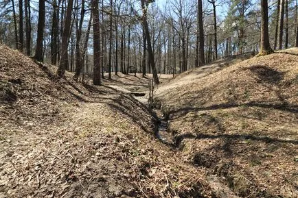 Timiryazevskiy park - egy zöld sziget a közepén egy megacity