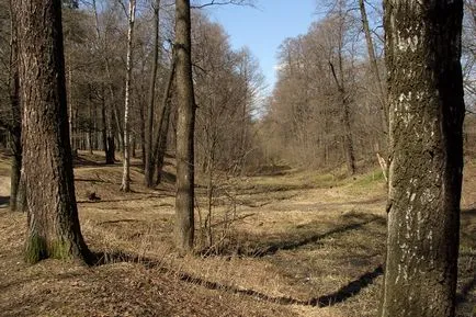 Timiryazevskiy park - egy zöld sziget a közepén egy megacity