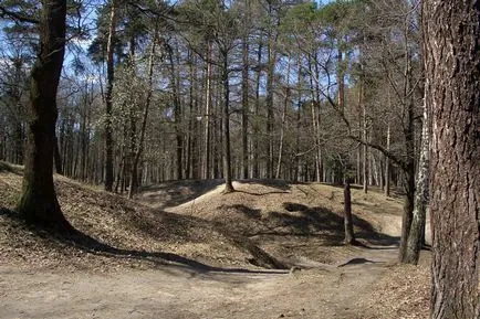 Timiryazevskiy park - egy zöld sziget a közepén egy megacity