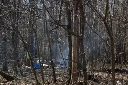 Parcul Timiryazevskiy - o insulă verde în mijlocul unui Megacity