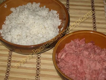 Húsgombóc darált hús rizzsel főtt mártásban
