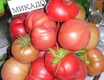 Домат Mikado описание на сортове домати и снимки