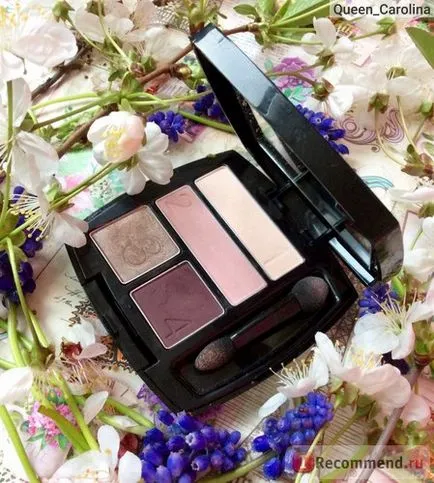 Fardul de pleoape avon true culoare Eyeshadow Quad - «cea mai bună calitate a reticulatia bugetul avon 😻 două