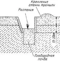 култивиране падина на субтропични култури