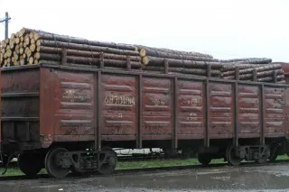 transportul lemnului pe calea ferată