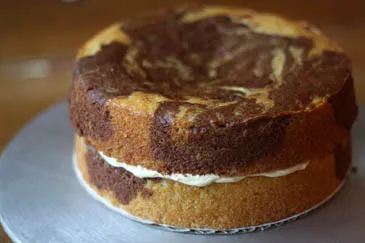 Torta pókok és pókhálók