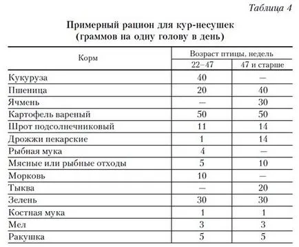 Toybastar собствен ръце снимка