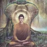 Lecțiile unui Buddha - sursa de înțelepciune pentru omenire