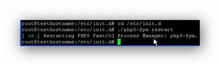 Инсталиране и конфигуриране на Nginx с подробности за Дебиан 7