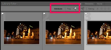 Фотография поуки Lightroom класиране и избор на снимки