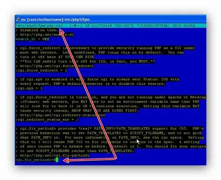 Instalarea și configurarea Nginx cu detalii privind debian 7