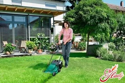 Lawn Care tavasszal, miután a téli