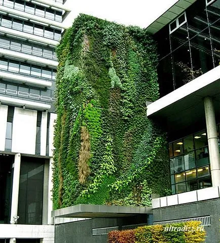 Vertical grădinărit fotografie cele mai bune proiecte