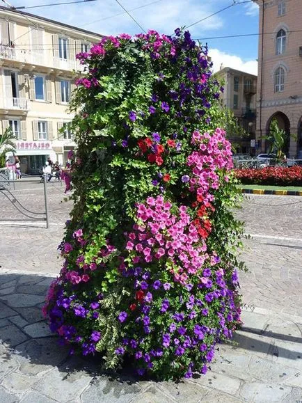 Pat vertical 50 fotografii, modul de a face un strat de flori pe verticală - un lucru ușor