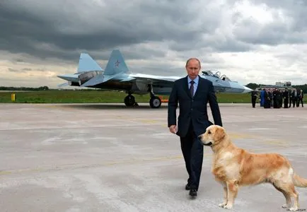 Избор на кученце голдън ретривър