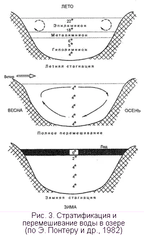 водните местообитания