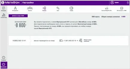 PBX virtual megafon - recenzie, comentarii, analogi, alternativă