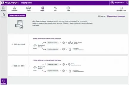 PBX virtual megafon - recenzie, comentarii, analogi, alternativă