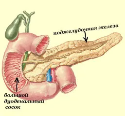 Inflamarea pancreasului - pancreatita si provoaca boli cronice, atunci când și de ce