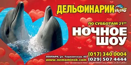 Óra dolphinarium Minszkben