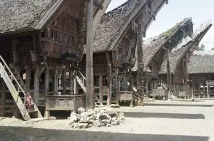 Зловещи погребални ритуали на племето Toraja