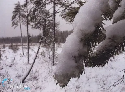 Живот под леда - Онлайн вестник за риболов