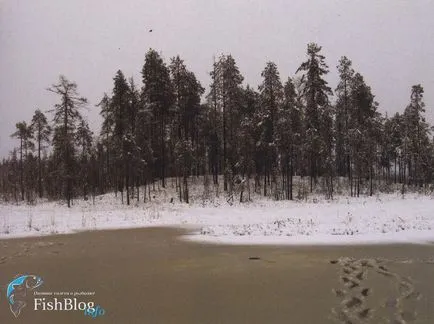 Живот под леда - Онлайн вестник за риболов