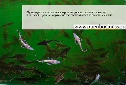 производство на риба аквакултури като бизнес