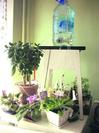 Udare automată plante de apartament - ce este și cum să se organizeze
