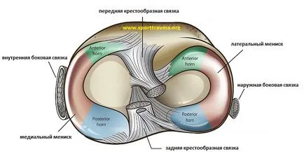 Артроскопия на менискуса на коляното в Москва, направете артроскопска хирургия на менискуса