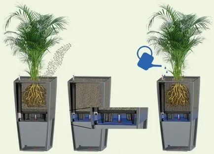 Автоматично поливане стайни растения - какво е това и как да се организира