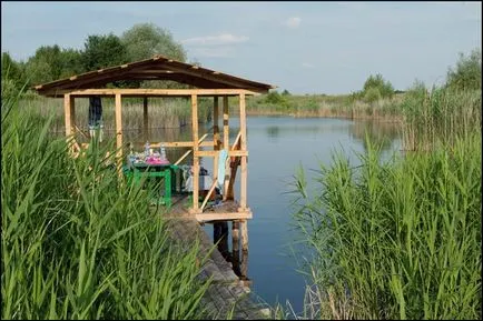 Беседка за видовете водни и характеристиките на строителството, Наша besedka