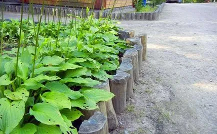 Borders pentru paturi de flori cu mâinile lor în beton, piatră, cărămidă, lemn, sticle, metal și