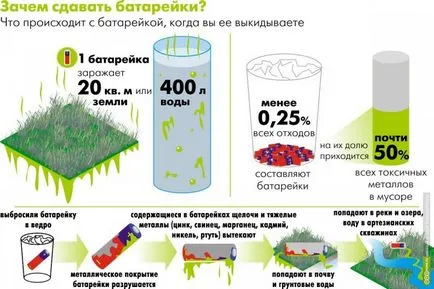 Бизнес в областта на екологията правят пари