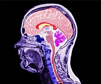 MRI diagnosztikai központ Kupchino