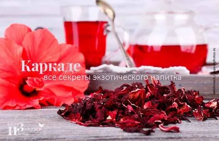 Hibiszkusz tea