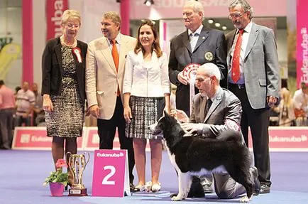 Campionatul European 2013 la Geneva - zooinform orașului