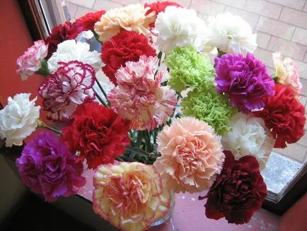Olcsó esküvői virág 6 megfelelő színeket!